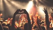 Begeistertes Publikum bei einem Konzert © Unsplash / Anthony Delanoix 