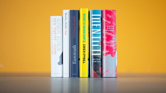 Cover der Bücher, die auf der Shortlist für den Deutschen Buchpreis 2021 stehen © picture alliance/dpa/vntr.media 