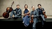 Das Signum Quartett © Irène Zandel Foto: Irène Zandel