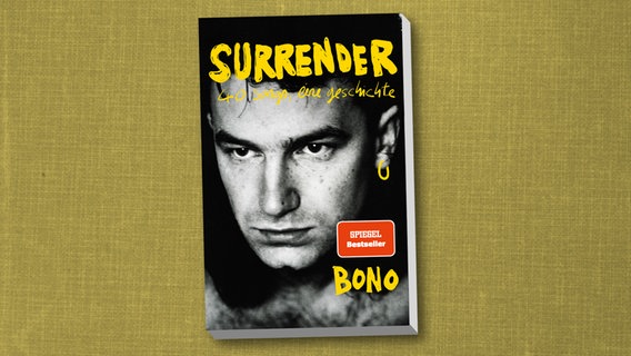 Cover "Surrender" © Droemer Knaur 