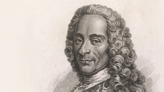 Porträt von Voltaire (1694 - 1778)  