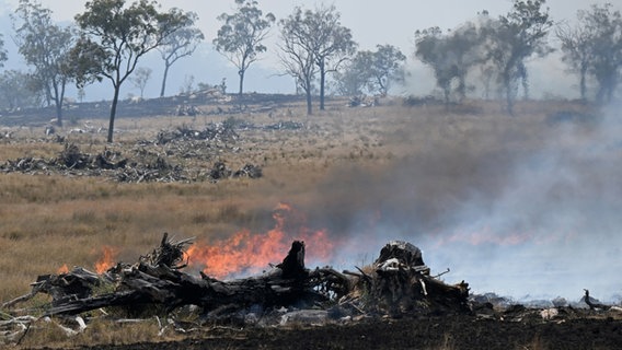 Ein Buschfeuer brennt in der Nähe der Stadt Dalveen in Queensland. © picture alliance/dpa/AAP Foto: Darren England