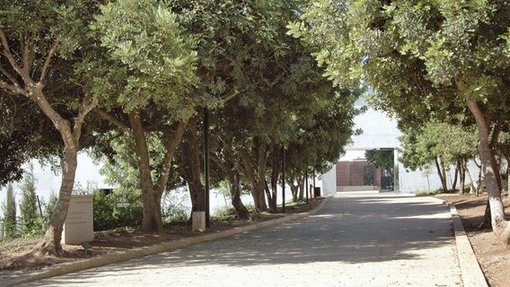 Yad Vashem, Allee der Gerechten © picture alliance / dpa 