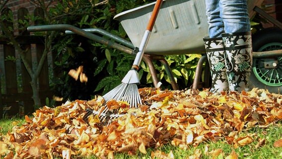 Eine Person steht mit Gummistiefeln und Rechen vor einem Laubhaufen. © Fotolia Foto: Kathrin39
