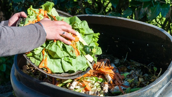 Frau gibt Gemüse-Reste in die Mülltonne. © Pixavril/fotolia Foto: Pixavril