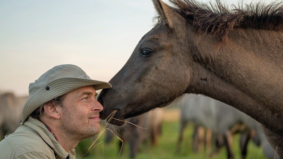 Fotograf und Wildpferd-Experte Marc Lubetzki © Kosmos Verlag 