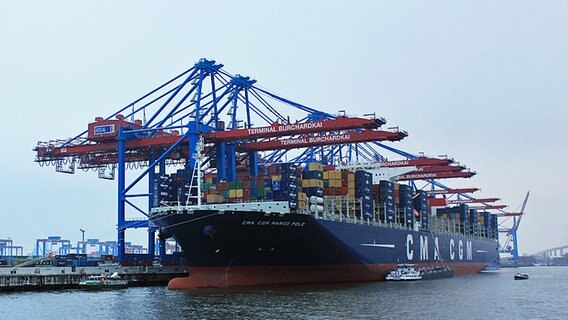 Die "Marco Polo" am Burchardkai in Hamburg. © NDR.de Foto: Florian Wöhrle