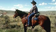 Cowboy auf seinem Pferd © dpa 
