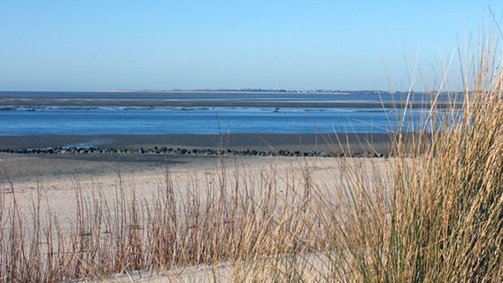 Föhr - Blick nach Sylt © NDR Foto: Anja Deuble