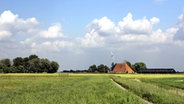 Landschaft im niederländischen Friesland © picture-alliance / dpa / kina Foto: Stoelwinder