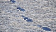 Im Schnee sind die Abdrücke von Schuhen zu sehen. © imago stock&people 