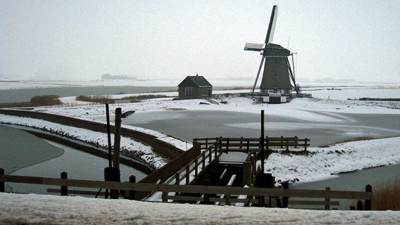 Die holländischen Windmühlen wurden gebaut, um die Gebiete leer zu pumpen, die unter Meereshöhe liegen. © rbb/Jan Schmiedt/Fernsehbüro 