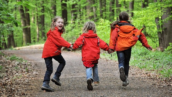 Tobende Kinder im Wald © dpa Foto: A3295 Uwe Zucchi