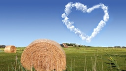 Über einer Weide mit Strohballen steigt am Himmel eine weiße Wolke in Herzform empor. © Landschaft: Thomas Neubauer panthermedia Foto: Landschaft: Thomas Neubauer