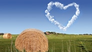 Über einer Weide mit Strohballen steigt am Himmel eine weiße Wolke in Herzform empor. © Landschaft: Thomas Neubauer panthermedia Foto: Landschaft: Thomas Neubauer