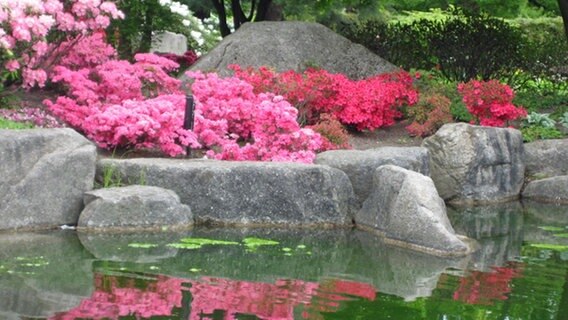 Ein Miniatur-Fujiyama schmückt den Japanischen Garten in Planten un Blomen. © NDR/ Foto: Viktoria Urmersbach