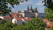 Blick auf die Prager Burg © Prague Information Service 