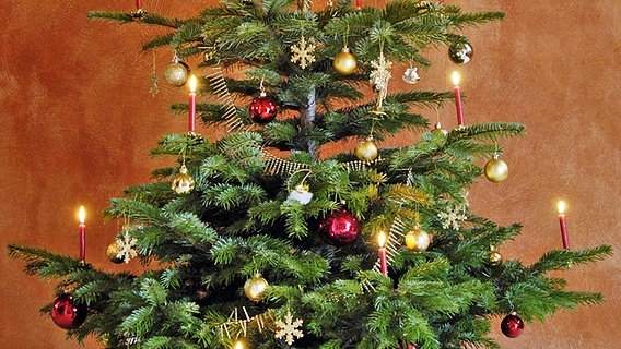 Geschmückter Weihnachtsbaum © imago/emil umdorf 
