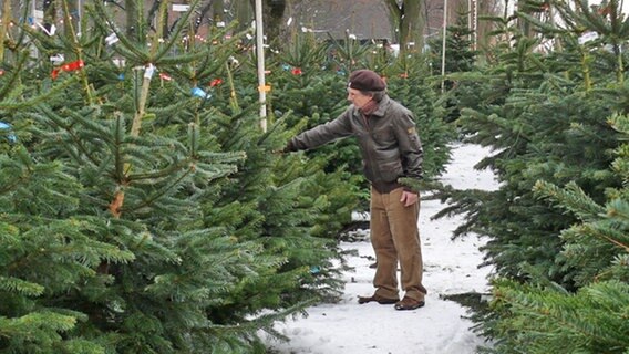 Ein Mann sucht an einem Verkaufsstand einen Weihnachtsbaum aus © NDR Foto: Axel Franz