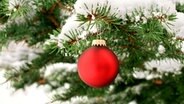 Schneebedeckter Tannenzweig mit Weihnachtsbaumkugel © soschoenbistdu - Fotolia.com 