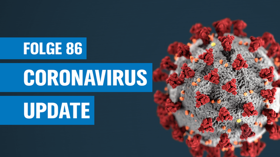 Das Coronavirus © Unsplash Foto: CDC