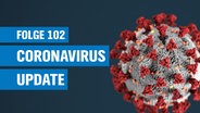 Das Coronavirus © Unsplash Foto: CDC