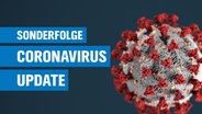 Das Coronavirus © Unsplash Foto: CDC