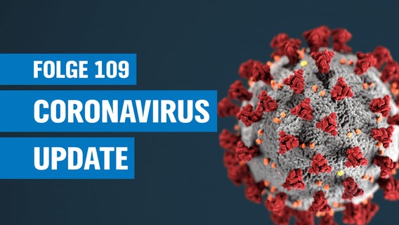 Das Coronavirus © Unsplash Foto: CDC