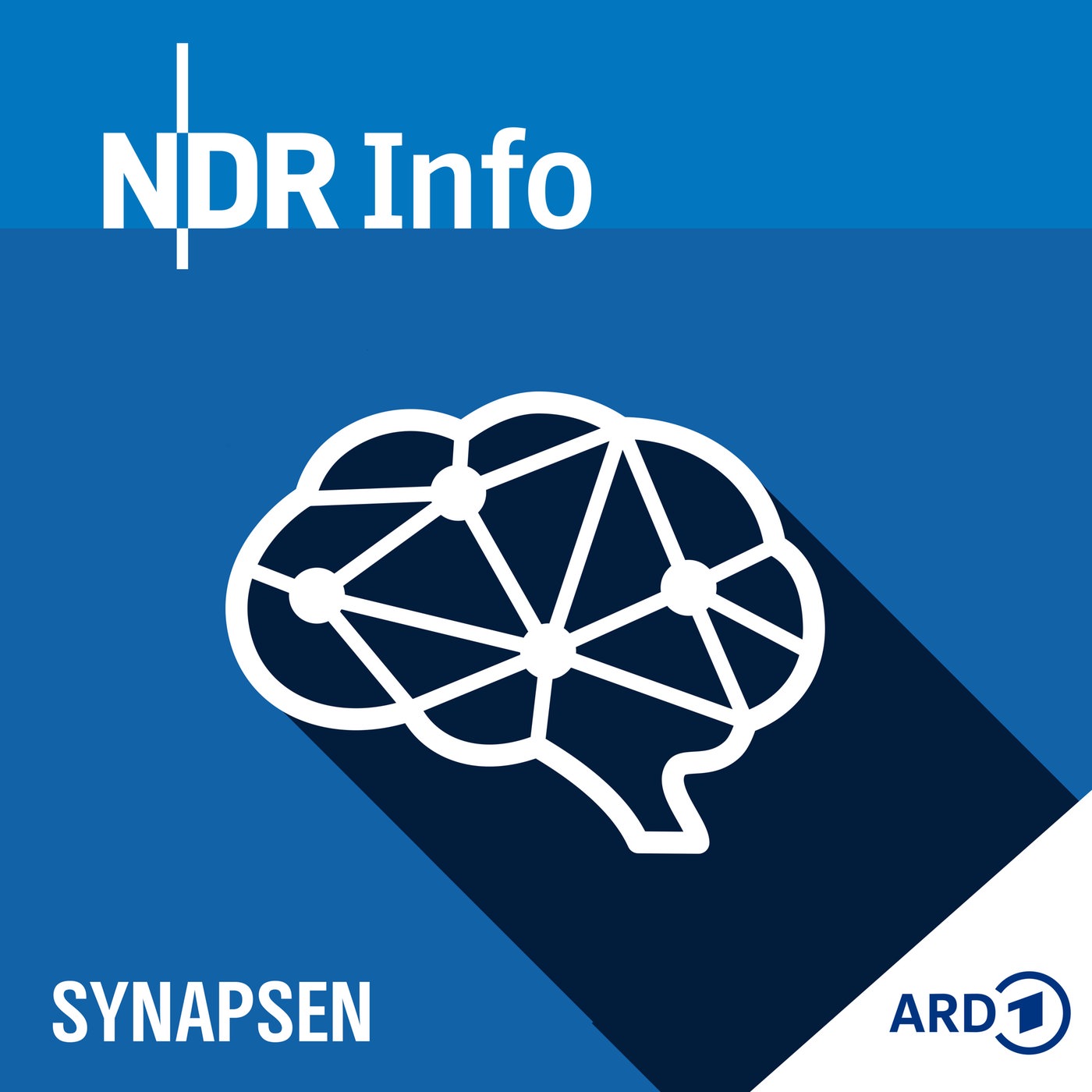 Synapsen – ein Wissenschaftspodcast:NDR Info