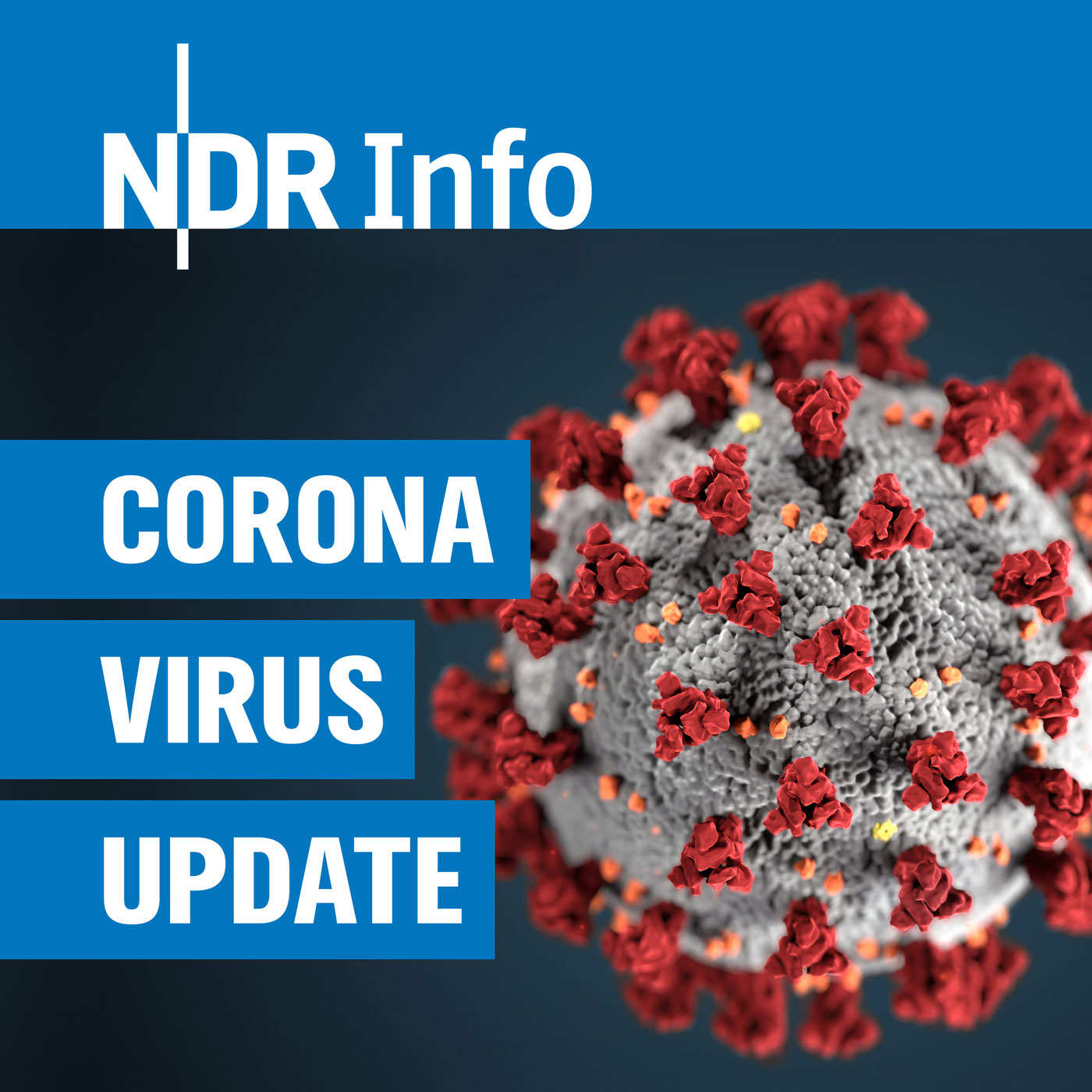 Coronavirus Kompakt: Die Impfungen