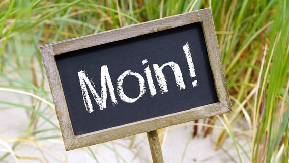 Auf einer Tafel vor einer Wiese steht das Wort "Moin!". © imago images Foto: Panthermedia