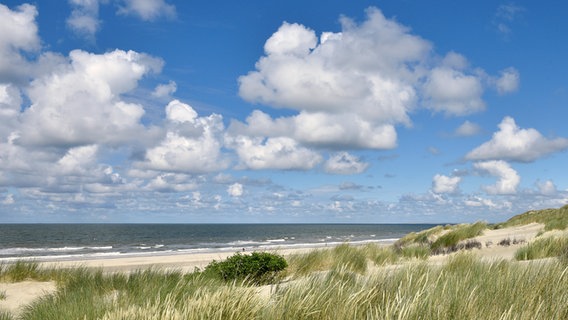 Grashalme auf Dünen mit der Nordsee am Horizont © picture alliance Foto: Michael Narten