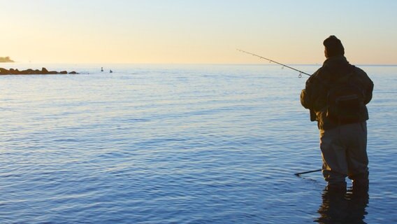 Angler steht in der Abenddämmerung in der See. © fotolia Foto: Luckyboost