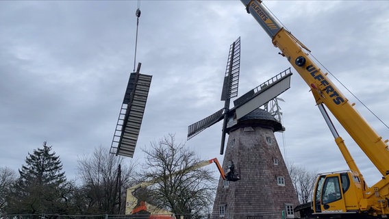 Ehlertsche Mühle in Woldegk hat wieder Flügel. © NDR 