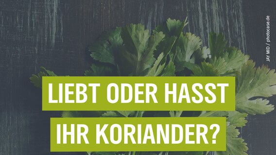 Das Koriander-Phänomen erklärt. © JAY MID / photocase.de Foto: JAY MID / photocase.de