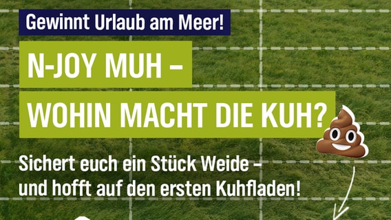 N-JOY Muh - Ein Kuhfladen für euer Ferienhaus am Meer © N-JOY 