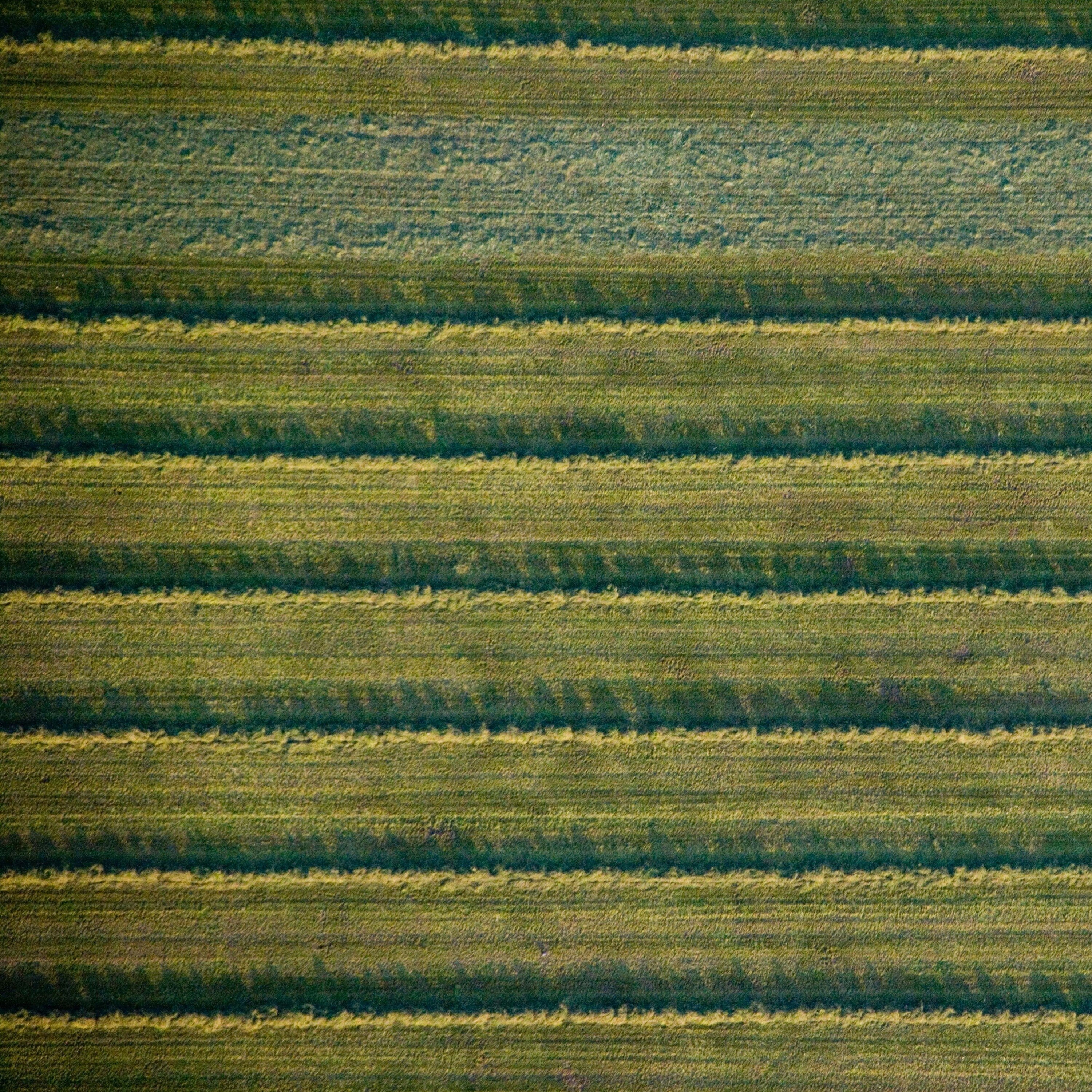 (108) Landwirtschaft: Bio und konventionell zusammendenken!