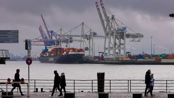 Das kühle und graue Wetter hält Hamburgerinnen und Hamburger nicht von einem Spaziergang ab. Bei trübem Novemberwetter gehen Passanten in Hamburg-Altona am Hafen spazieren. © Ulrich Perrey/dpa Foto: Ulrich Perrey