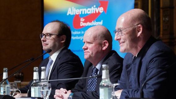 Der AfD-Bürgerschaftsabgeordnete Krzysztof Walczak, der Staatsrechtlcher Ulrich Vosgerau und der AfD-Fraktionsvorsitzende Alexander Wolf im Hamburger Rathaus während einer Veranstaltung der AfD-Fraktion. © Marcus Brandt/dpa 