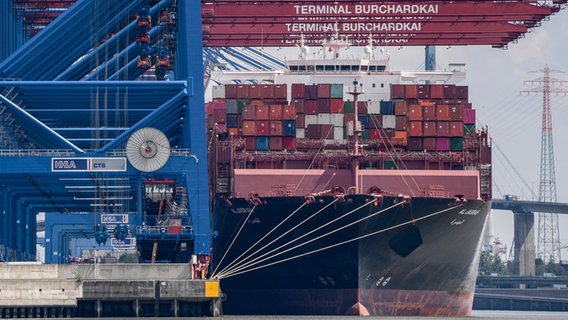 Der Containerfrachter "Al Jasrah" wird im Juni 2020 am Terminal Burchardkai entladen. © Axel Heimken/dpa 