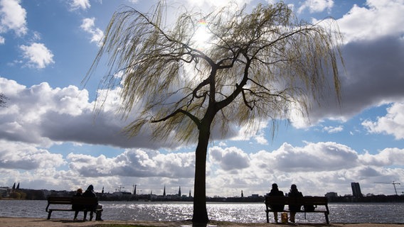 Menschen sitzen auf Bänken vor der Alster © dpa-Bildfunk Foto: Daniel Bockwoldt