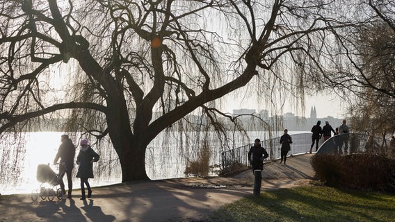 Spaziergänger nutzen schönes Winterwetter für einen Ausflug an die Außenalster. © picture alliance/dpa Foto: Georg Wendt