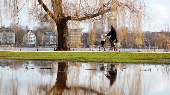 Ein Radfahrer und ein kahler Weidenbaum spiegeln sich in einer großen Pfütze auf einer Wiese an der Hamburger Außenalster. © picture alliance / dpa Foto: Georg Wendt