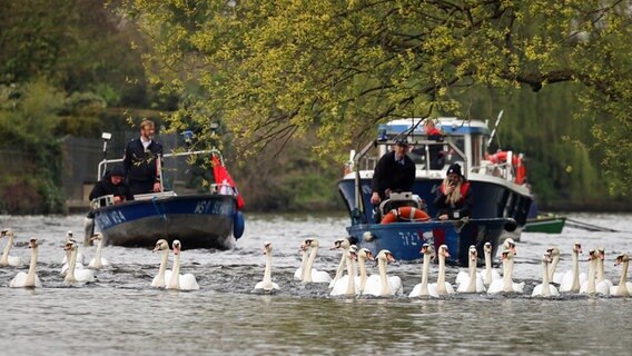 Schwanenvater Olaf Nieß und seine Mitarbeiter begleiteten mit Booten die Alsterschwäne in Richtung Außenalster. © picture alliance / dpa Foto: Christian Charisius