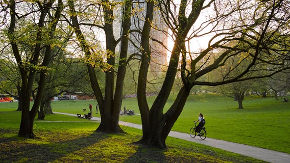 Der Alte Elbpark in Hamburg mit den Tanzenden Türmen im Hintergrund. © picture alliance / imageBROKER | A. Sommer Foto: picture alliance / imageBROKER | A. Sommer