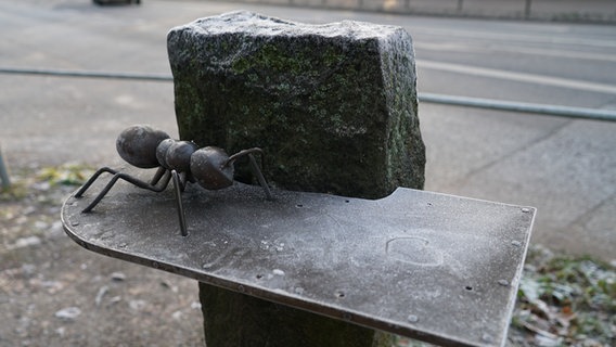 Zurzeit krabbelt nur noch eine Ameise auf dem Kusntwerk. © Citynewstv 
