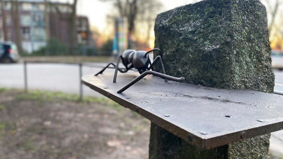 Kunstwerk zu Ringelnatz-Gedicht: Erneut Ameise gestohlen | NDR.de