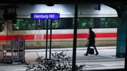 Ein ICE steht am Bahnsteig im Hamburger Hauptbahnhof, während eine Person vorbeigeht. © picture alliance / dpa Foto: Christian Charisius
