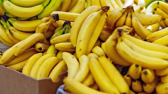 Reife Bananen. © picture alliance / Zoonar Foto: Nadezhda Soboleva