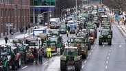 Traktoren stehen nach einer Sternfahrt im Rahmen der Aktionswoche des Bauernverbands in der Hamburger Innenstadt. © picture alliance / dpa Foto: Marcus Brandt